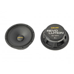 Swat SP REV-65Pro V2 RMS-100Вт